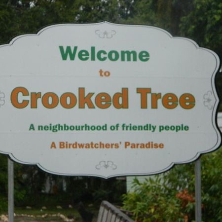 Becks Bed & Breakfast Crooked Tree Eksteriør bilde